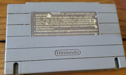 Donkey Kong Country